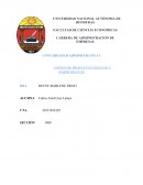 COSTEO DE PRODUCTO CONJUNTO Y SUBPRODUCTOS