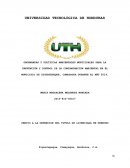 LAS GRANDES ORDENANZAS Y POLÍTICAS AMBIENTALES MUNICIPALES PARA LA PREVENCIÓN Y CONTROL DE LA CONTAMINACIÓN AMBIENTAL EN EL MUNICIPIO DE SIGUATEPEQUE, COMAYAGUA DURANTE EL AÑO 2014.