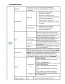 Esquema de los organos sociales