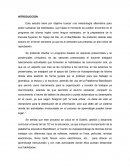 Metodología alternativa para poder subsanar las debilidades en el programa del idioma inglés