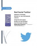 Ensayo Twitter