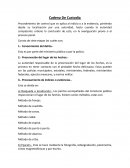 Etapas de la cadena de custodia