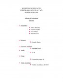 Informe: laboratorio de Química