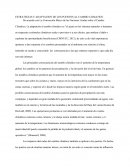 ESTRATEGIAS Y ADAPTACION DE LOS PUERTOS AL CAMBIO CLIMATICO