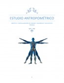 El estudio antropométrico