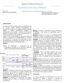 Bioquímica: Reacciones de los carbohidratos