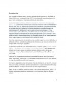 Hoy en día la obesidad en niños y jóvenes,