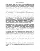 Ensayo del elevator pitch