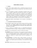 La palabra “Iglesia” significa asamblea de Dios