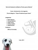 Plan de Negocio: Paseo Profesional para Canes