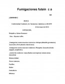 Cotizacion para saime de ocumare