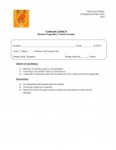 Historia Geografía y Ciencias Sociales