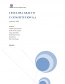 Tema: Aplicación I.F.R.S a la Empresa Celulosa Arauco y constitución S.A.