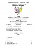 DIAGNOSTICO INDUSTRIAL DE LA EMPRESA CURTIEMBRE “PIELES DEL SUR E.I.R.L