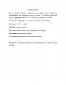 Trasversalidad ensayo