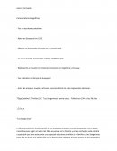 Resumen y Análisis del Libro Los Sangurimas