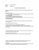 Generar actividad de Expresión Plástica