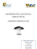 RESUMEN Y ENSAYO DE LA COMPRENSION LECTORA