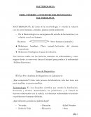 LA BACTERIOLOGIA