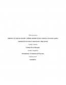 Impuesto a la renta por periodo y utilidad calculada en base a Ingresos, inversiones, gastos, calendario de inversiones, depreciación y flujo parcial.