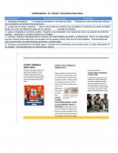 SUBPROGRAMA DE HIGIENE Y SEGURIDAD INDUSTRIAL