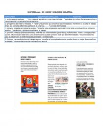 SUBPROGRAMA DE HIGIENE Y SEGURIDAD INDUSTRIAL. Página 1
