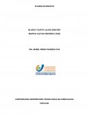 PLANES DE NEGOCIO POPAYAN