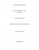 COMO ES LA ADMINISTRACION DE EMPRESAS SEXTO SEMESTRE