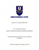 National Air Express Preguntas a analizar