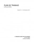 PLAN DE TRABAJO PATRULLAS CENTRAL