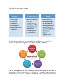 Resolución del caso Skydive Chicago
