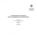 Las Dimensiones de la Violencia