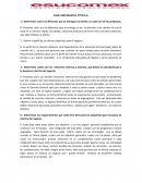 CASO: RESTORANTES OTTO S.A.