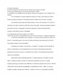 Fisiologia El sistema respiratorio