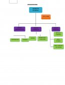 FORMATOS MAPA Y FLUJO