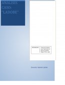 Un Diagnostico Organizacional