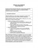 FORMATO PARA PRESENTAR PLAN DE NEGOCIO