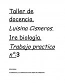 Taller de docencia.