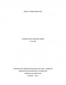 ENSAYO SOBRE MARKETING