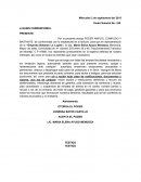 Recurso de revision de infraccion por exceso de velocidad