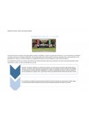 Administracion de la calidad Hospital Arnold Palmer