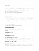 Informe de Productividad