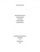 Trabajo de ácido nucleicos