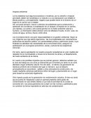 Impacto ambiental y gestión ambiental