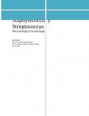 Microbiología y Parasitología Staphylococcus Y Streptococcus