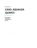 Caso Aqualiza.