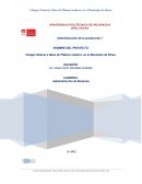 Proyecto de elaboracion de un producto