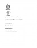 Ensayo Hermenéutica Jurídica
