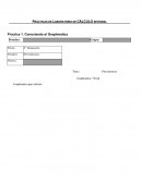 PRÁCTICAS DE LABORATORIO DE CÁLCULO INTEGRAL