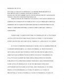 BIOGRAFIA DE UN YO